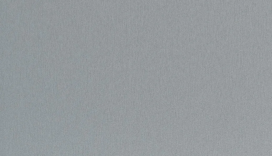 Титан 883 Ш 2750*1830 10 мм ЧФ