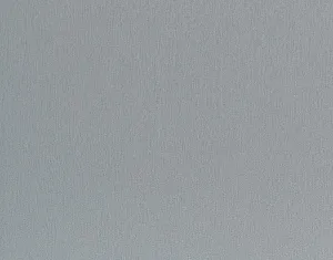 ЧФМК - Титан 883 Ш 2750*1830 10 мм ЧФ